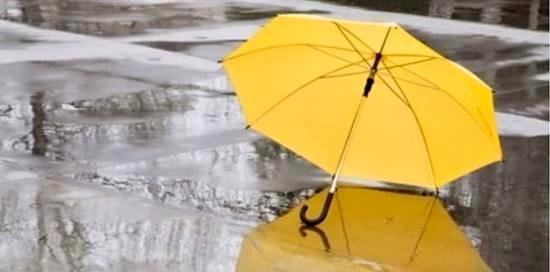 WhatsApp Image 2026-01-04 at 14.17.33