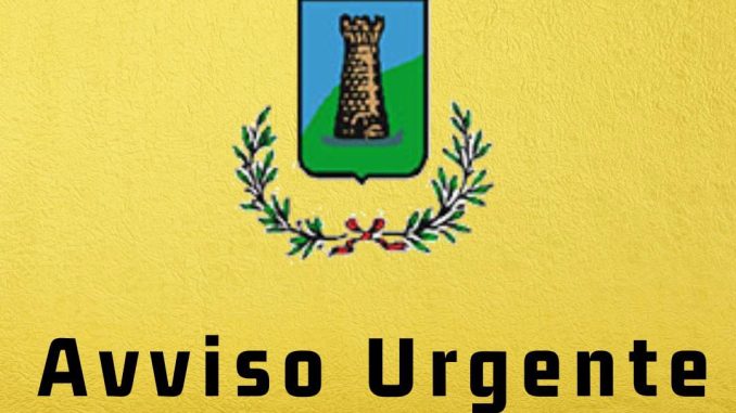 WhatsApp Image 2026-01-05 at 11.35.00