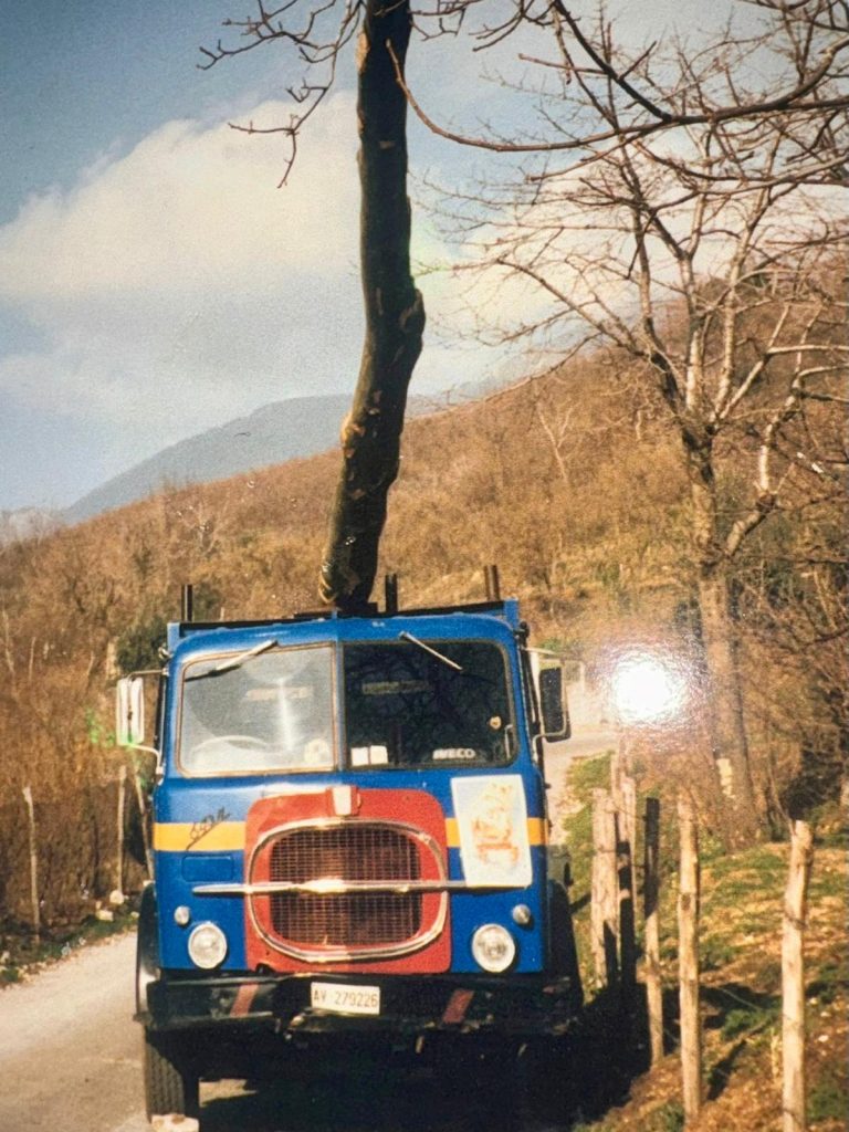 Mugnano del Cardinale, sabato 10 gennaio torna il “Maio” di Santa Filomena (Foto Storiche)