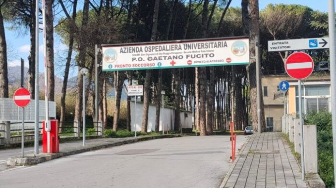 WhatsApp Image 2026-01-17 at 10.12.51