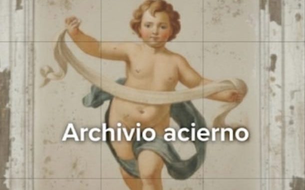 WhatsApp Image 2026-01-17 at 11.14.30