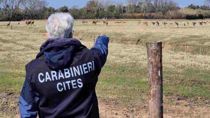 WhatsApp Image 2026-01-17 at 21.40.43