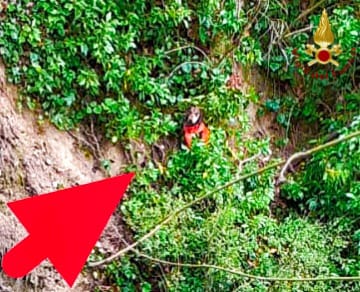 Villanova del Battista, cane cade in un dirupo durante una battuta di caccia: salvato dai Vigili del Fuoco Villanova del Battista, cane cade in un dirupo durante una battuta di caccia: salvato dai Vigili del Fuoco