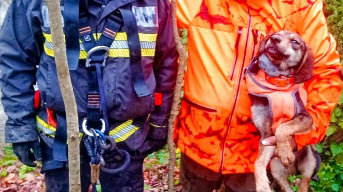 WhatsApp Image 2026-01-19 at 15.03.26