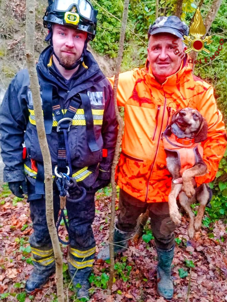 Villanova del Battista, cane cade in un dirupo durante una battuta di caccia: salvato dai Vigili del Fuoco Villanova del Battista, cane cade in un dirupo durante una battuta di caccia: salvato dai Vigili del Fuoco