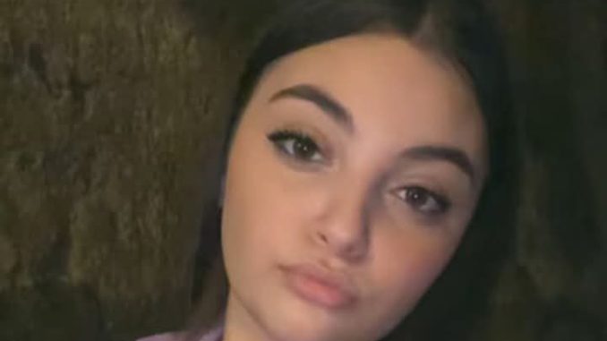 WhatsApp Image 2026-01-26 at 19.46.46