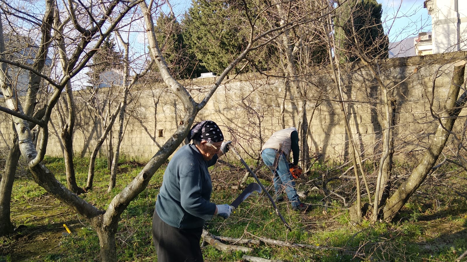 Sperone: Stefanina Vetrano, a 85 anni in campo per difendere il nocciolo Sperone: Stefanina Vetrano, a 85 anni in campo per difendere il nocciolo