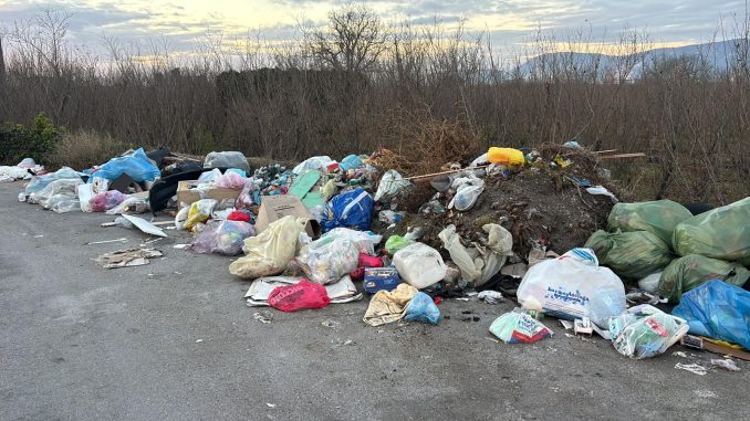 WhatsApp Image 2026-01-31 at 20.14.10