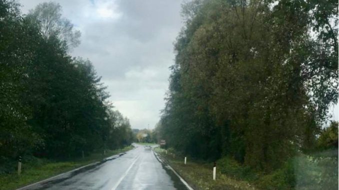 WhatsApp Image 2026-01-31 at 23.06.59