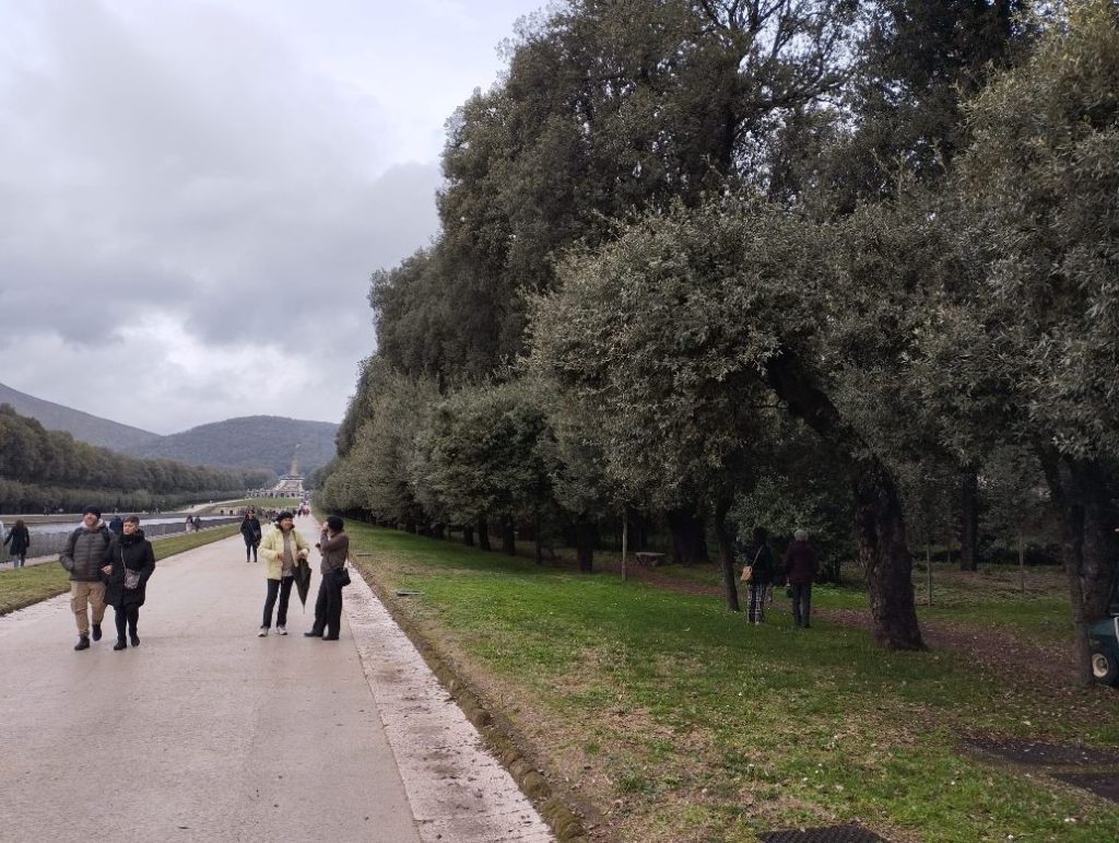 Reggia di Caserta, manifestazione contro l’abbattimento di 750 lecci.