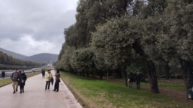 manifestazione reggia 5