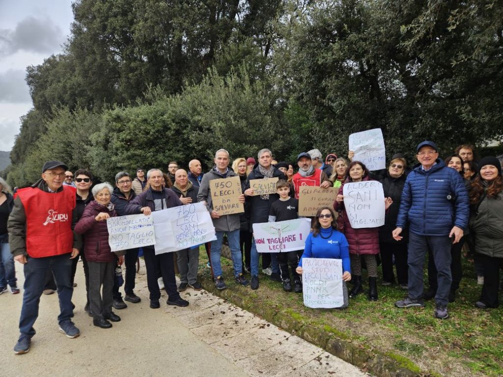 Reggia di Caserta, manifestazione contro l’abbattimento di 750 lecci.