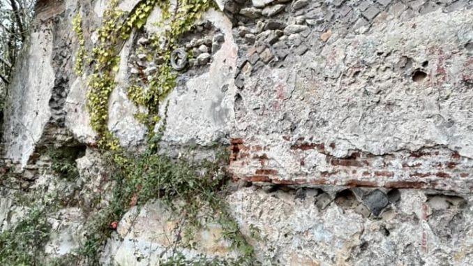 AGRITURISMO E CULTURA BIODINAMICA : UN CIRCOLO CHIUSO PER PRODUZIONI DI ECCELLENZA