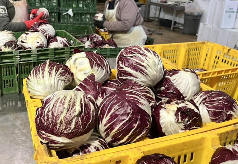 AGRITURISMO E CULTURA BIODINAMICA : UN CIRCOLO CHIUSO PER PRODUZIONI DI ECCELLENZA