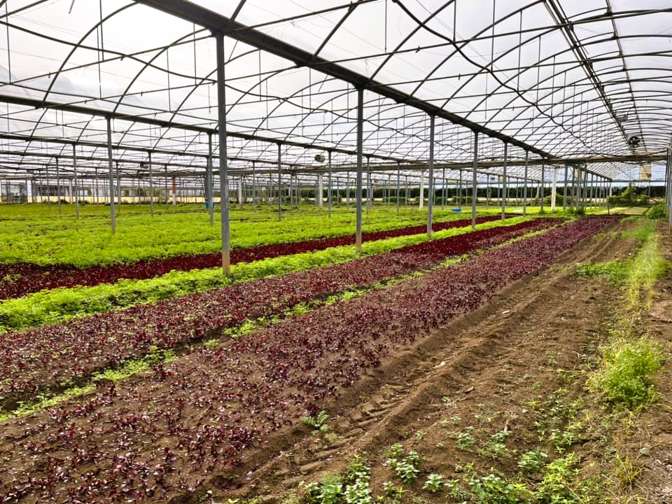 AGRITURISMO E CULTURA BIODINAMICA : UN CIRCOLO CHIUSO PER PRODUZIONI DI ECCELLENZA