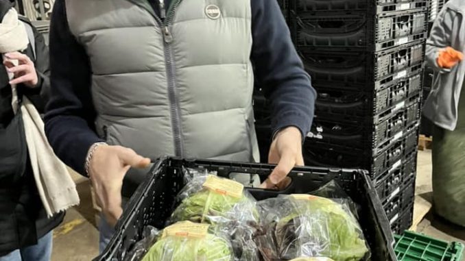 AGRITURISMO E CULTURA BIODINAMICA : UN CIRCOLO CHIUSO PER PRODUZIONI DI ECCELLENZA