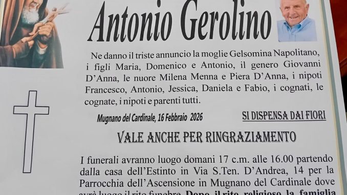 WhatsApp Image 2026-02-17 at 00.27.58