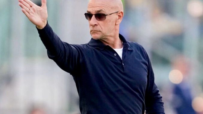 WhatsApp Image 2026-02-17 at 23.01.13