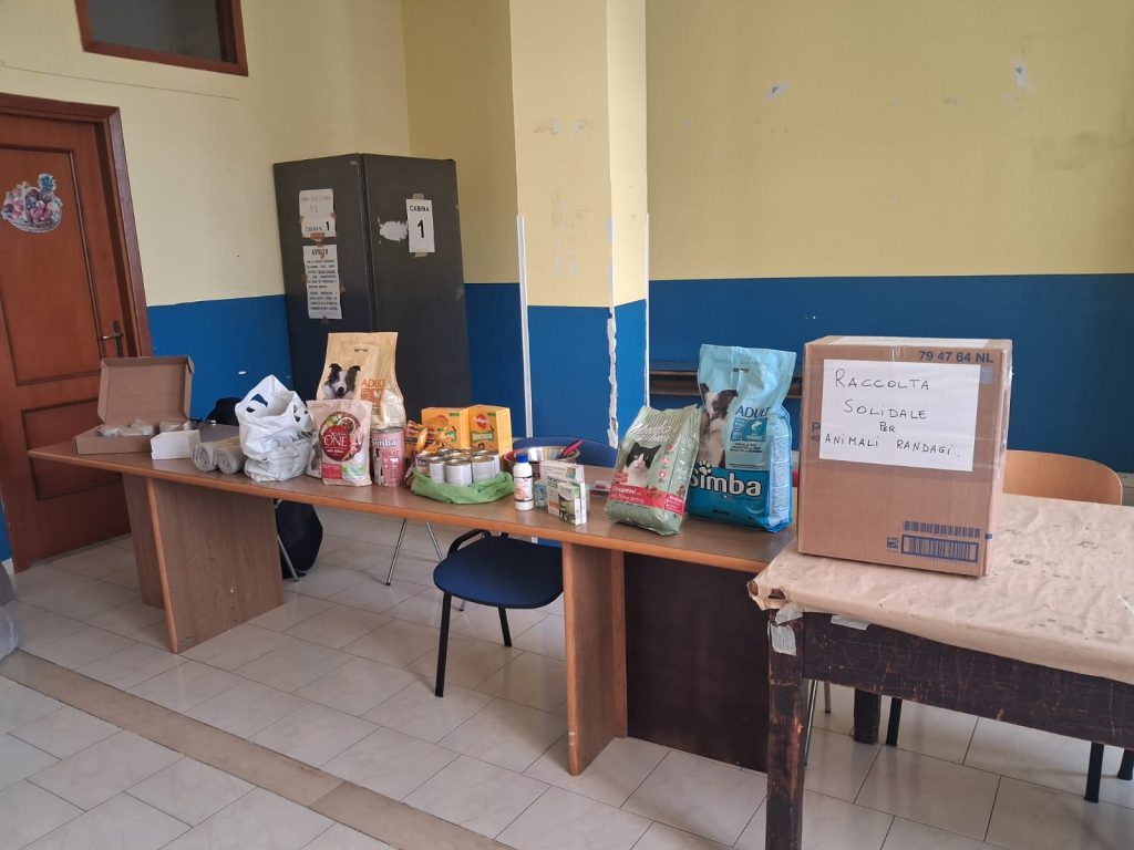 Grottolella, grande partecipazione alla prima Raccolta Solidale per gli animali liberi sul territorio Grottolella, grande partecipazione alla prima Raccolta Solidale per gli animali liberi sul territorio