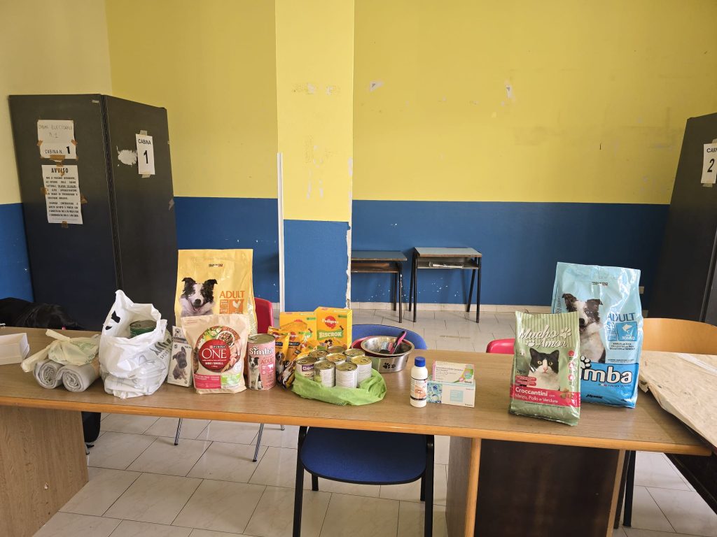 Grottolella, grande partecipazione alla prima Raccolta Solidale per gli animali liberi sul territorio Grottolella, grande partecipazione alla prima Raccolta Solidale per gli animali liberi sul territorio