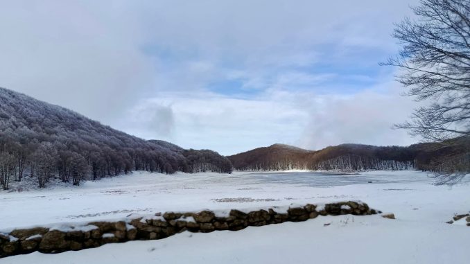 WhatsApp Image 2026-02-21 at 23.33.43