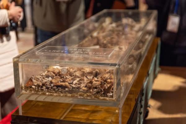 ASSISI – Ostensione di San Francesco, al via oggi l’accesso dei fedeli: migliaia di pellegrini attesi