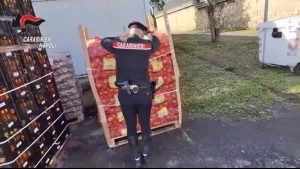 NAPOLI – Hashish tra le zucche: maxi sequestro sull’A1, quasi 400 chili di droga intercettati dai carabinieri