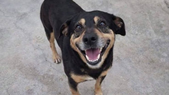 WhatsApp Image 2026-02-25 at 17.26.31