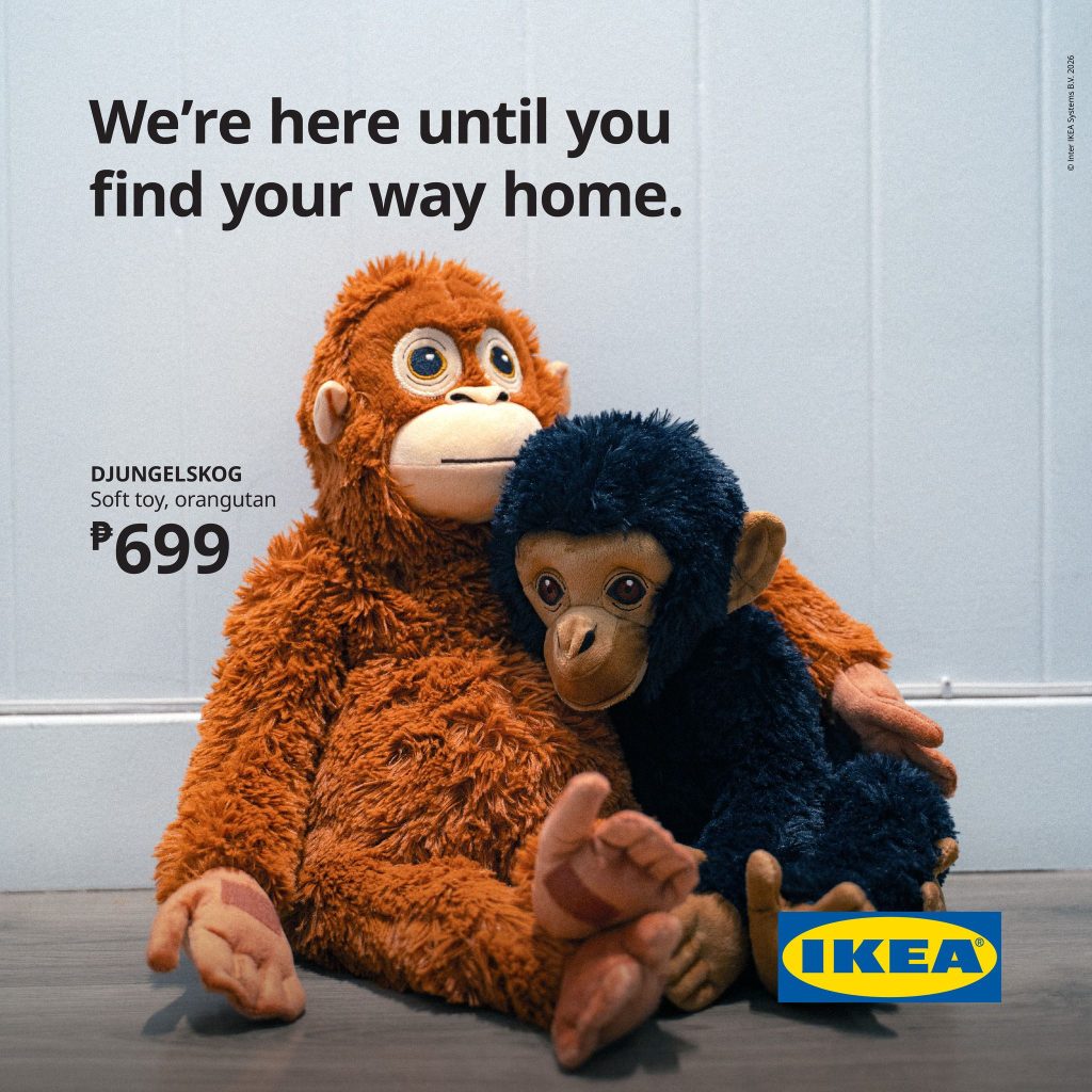 La storia di Punch, il piccolo macaco che ha trovato amore dove sembrava non esserci.(foto) La storia di Punch, il piccolo macaco che ha trovato amore dove sembrava non esserci.(foto)