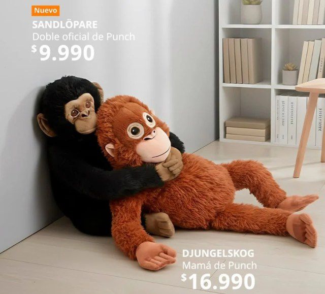 La storia di Punch, il piccolo macaco che ha trovato amore dove sembrava non esserci.(foto) La storia di Punch, il piccolo macaco che ha trovato amore dove sembrava non esserci.(foto)