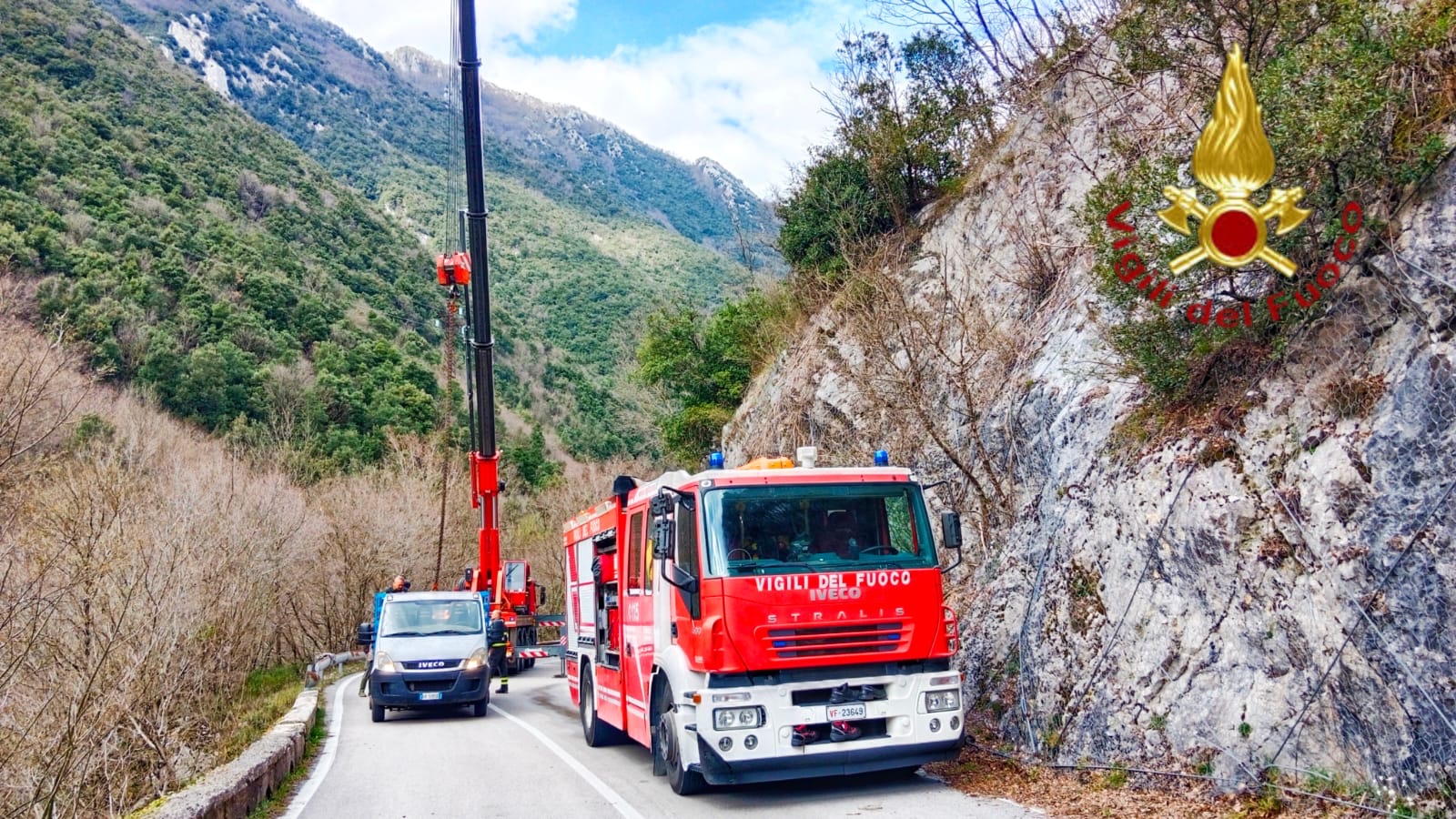 Montella, mucca incinta trovata morta lungo il fiume: intervento dei Vigili del Fuoco per il recupero Montella, mucca incinta trovata morta lungo il fiume: intervento dei Vigili del Fuoco per il recupero