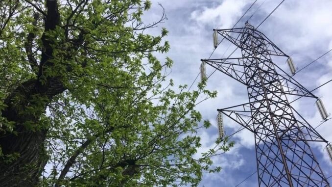 3db19a34-3cc6-4b2f-823c-8278ef147848