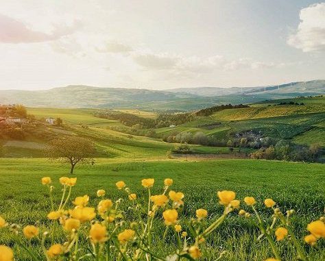 WhatsApp Image 2026-03-02 at 23.19.04