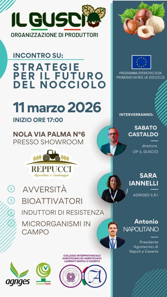 Nocciolo campano al centro del futuro: a Nola l’incontro tecnico dell’OP Il Guscìo sulle nuove strategie di difesa e sostenibilità