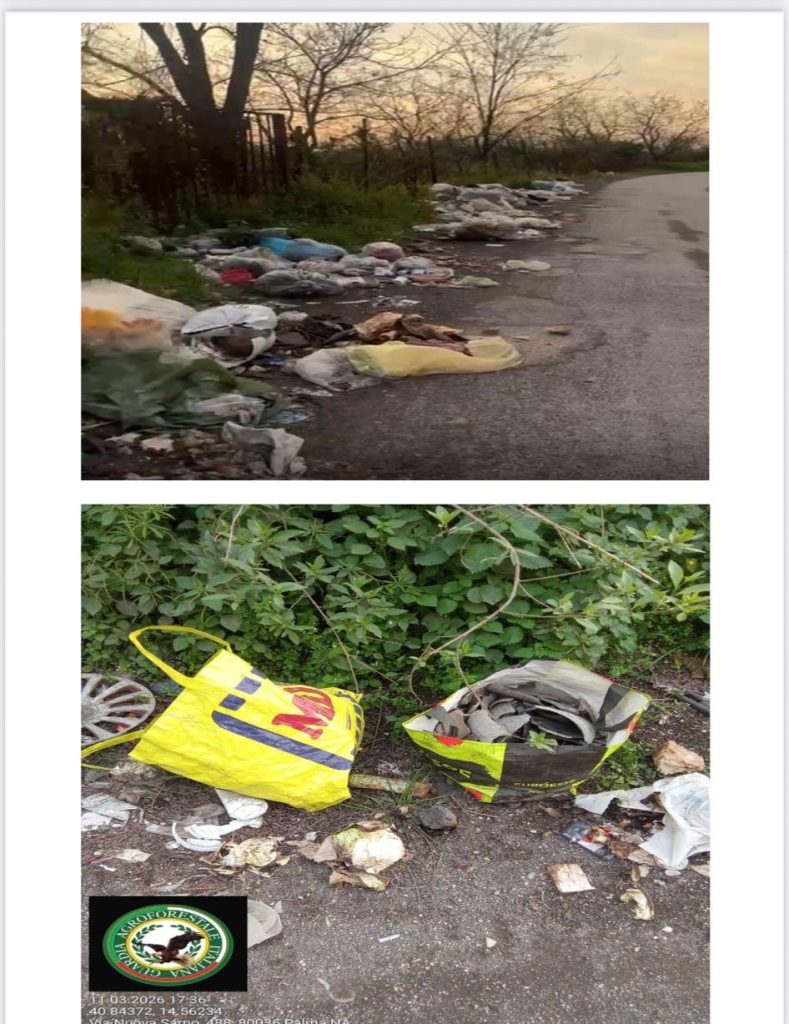 Palma Campania, segnalata discarica abusiva con rifiuti sospetti: intervento della Guardia Agroforestale