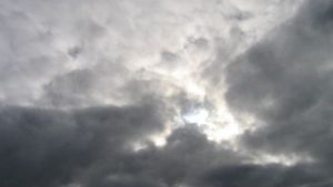 WhatsApp Image 2026-03-15 at 23.23.11