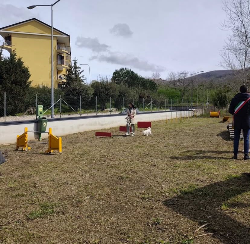 Palma Campania inaugura il nuovo Dog Park: uno spazio di libertà per gli amici a quattro zampe