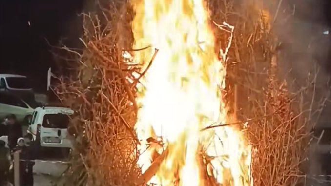 WhatsApp Image 2026-03-20 at 14.12.49 (2)