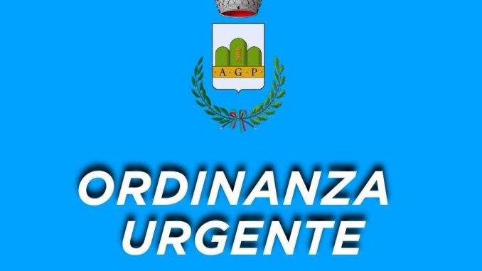 WhatsApp Image 2026-03-22 at 14.20.27