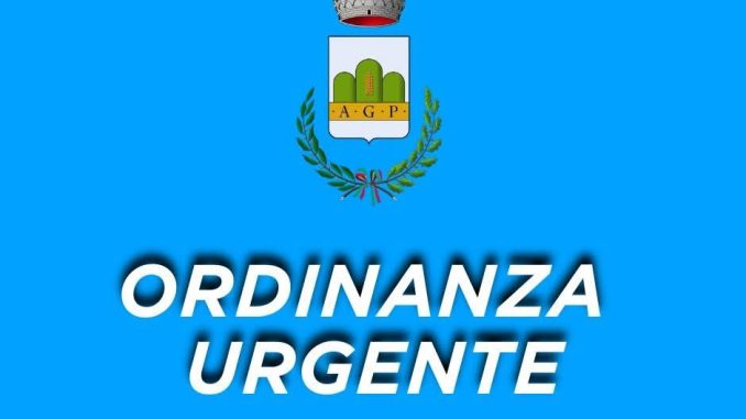 WhatsApp Image 2026-03-23 at 14.18.12