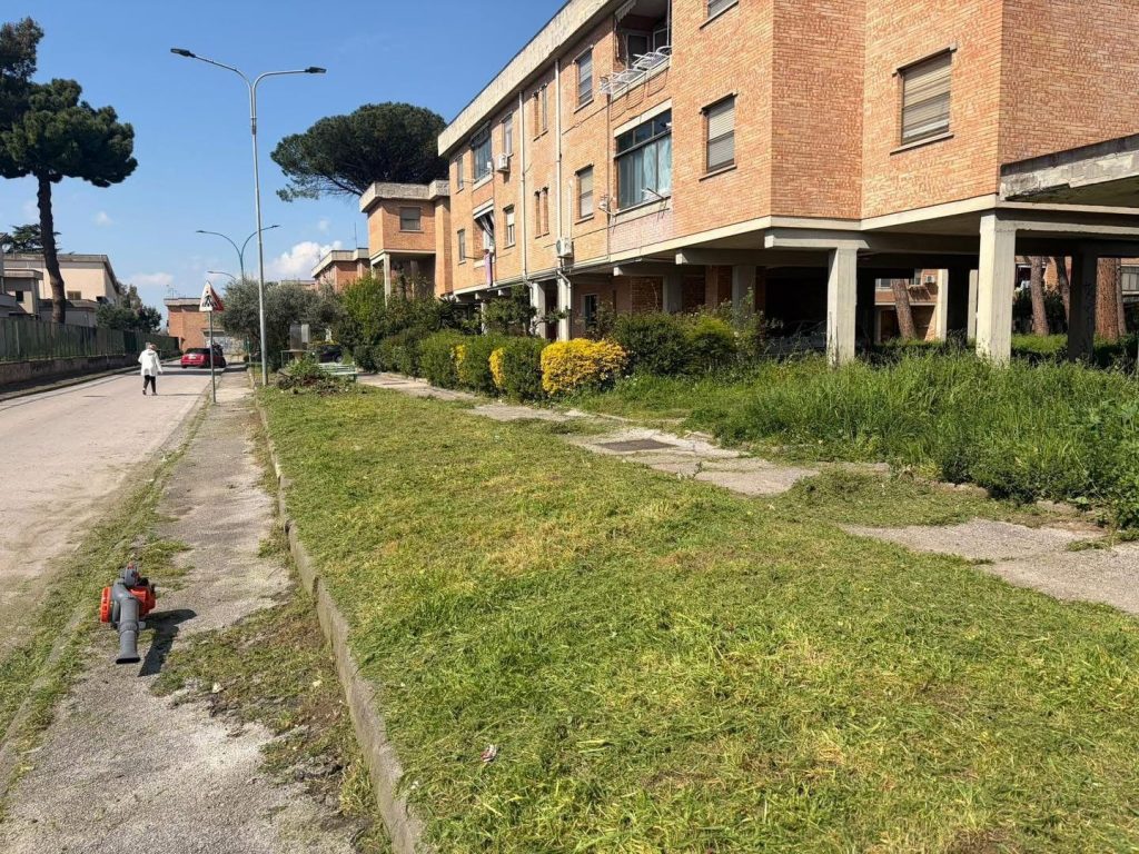Cimitile, al via sfalcio e manutenzione del verde pubblico: interventi partiti dal rione IACP
