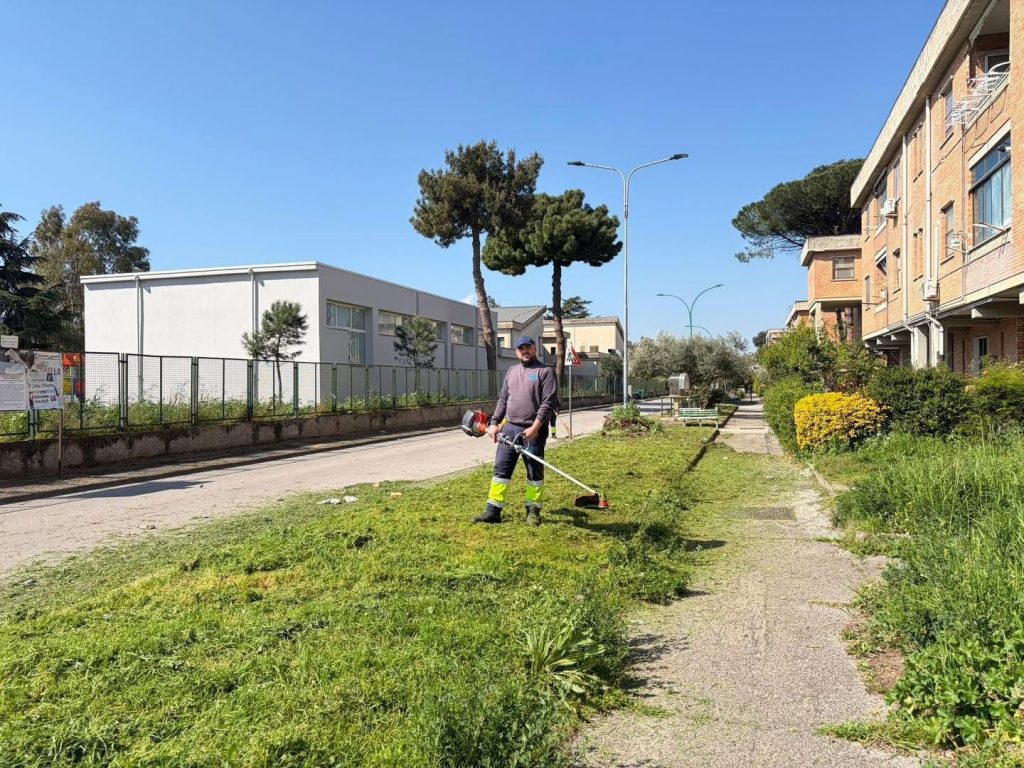 Cimitile, al via sfalcio e manutenzione del verde pubblico: interventi partiti dal rione IACP