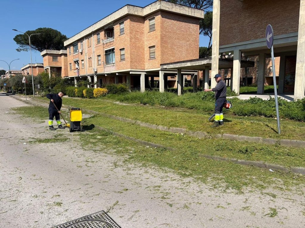 Cimitile, al via sfalcio e manutenzione del verde pubblico: interventi partiti dal rione IACP