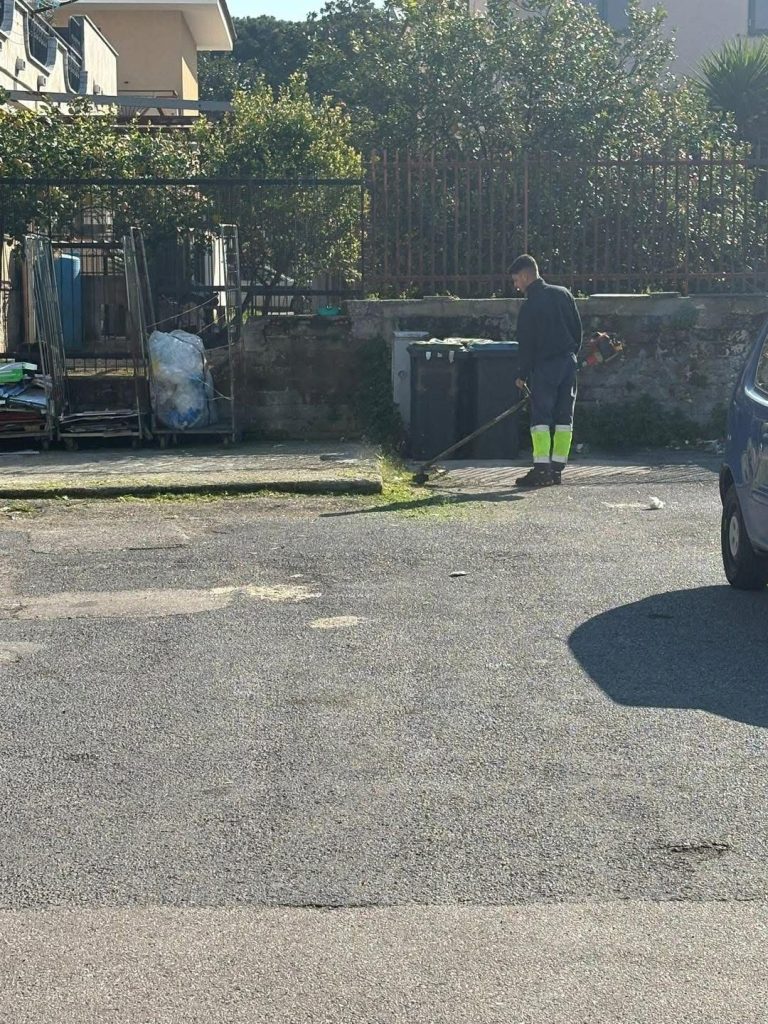 Cimitile, al via sfalcio e manutenzione del verde pubblico: interventi partiti dal rione IACP