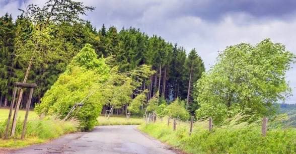 WhatsApp Image 2026-03-25 at 23.52.57