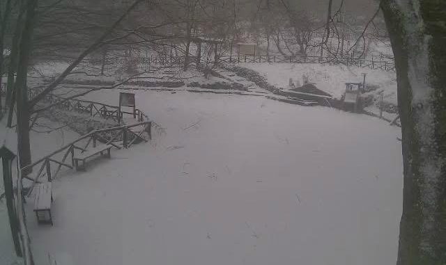 WhatsApp Image 2026-03-27 at 00.45.13