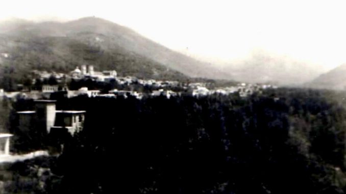 WhatsApp Image 2026-03-29 at 00.49.05