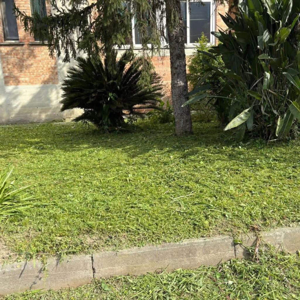 Cimitile, al via la pulizia delle caditoie: interventi per migliorare il deflusso delle acque