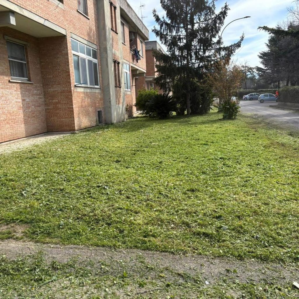 Cimitile, al via la pulizia delle caditoie: interventi per migliorare il deflusso delle acque