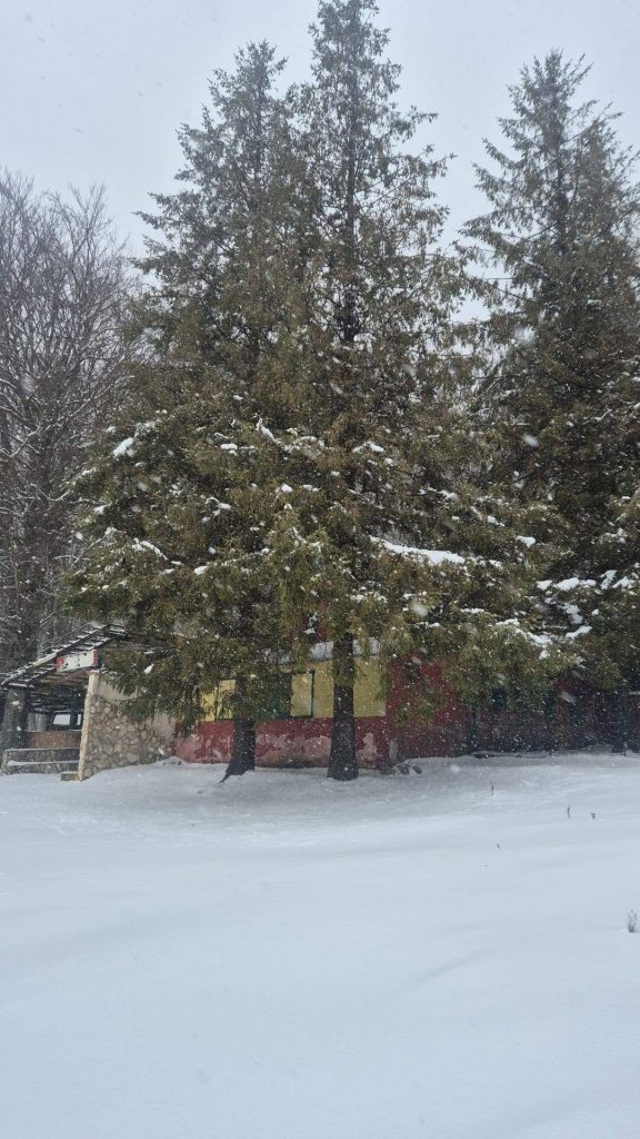 Irpinia imbiancata, paesaggi incantati dopo la neve: scenari da cartolina (foto)